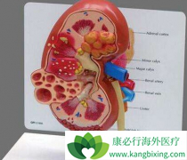 ������(Afinitor)������ҩ��������������ЧԶ���ڵ�ҩ