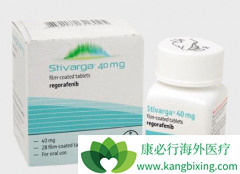 �ɷ���༪�����Ƶ������������Ϊ�༪����ҩ���ѡ����