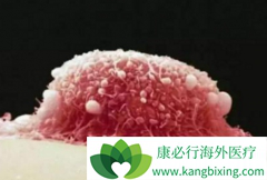 ����̩/������������˳�����ƹ�����������Ӧ����