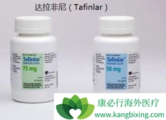 ���Ժ�ɫ������ҩ���������(dabrafenib)������������ɭ֢�ķ�չ