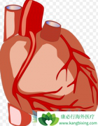 ��������ʹ�ò���̹(Bosentan)��ʹ���ߵ��Ĺ��ܱ����ȶ�