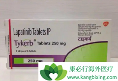 ��������(Lapatinib)��ҩ�������ٰ�����Ч���Ƕ���