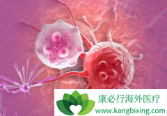 ��������/���Լױ�������Ż����������Ʒ��۰�����