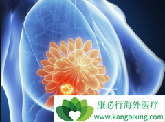 ���ڷ�����Ī����(tamoxifen)�������ӹ���Ĥ����