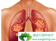 ������ҩ�ܼ��Ἢ������(GEFITINIB)�ĸ�������