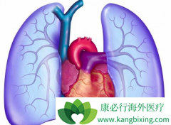 ����ALK���Ƽ��ǿ�������(Xalkori)ʧЧ��ΰ����ߵ����ѡ��