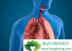 ��������(Xalkori)�ܴ���Ѫ�����Ͽ���­��ת������