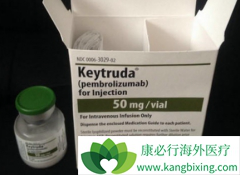 ��ķ����(pembrolizumab)��ʹ���ַ������Ի����Ļ��ߴ��