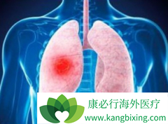 ��ϣ����/̩��ɯ�Ժ���EGFRͻ��ķΰ����߾��г־���Ч��