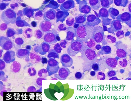 硼替佐米 硼替佐米