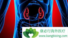 ��������(XL184)��ƾʲô��Ϊ����������һ����ҩ��