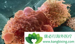 ��������(Cabozantinib)�ڷ�Сϸ���ΰ�����������ЩӦ��