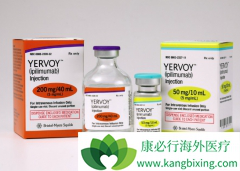 CTLA-4����Yervoy��PD-1���Ƽ�Opdivo���õ�����Ч����ô����