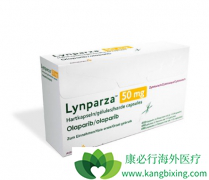 �й��ѳ������ߵ��׸�����ҩ�����Ʒ����������������׼����