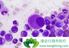 ��������(Imatinib)�����ڼ�������ֻή��ѪҩŨ��