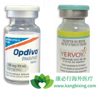 ��ɫ���������Ʒ�������Щ�����߼������Ƽ�Yervoy���ƺ�ɫ����Ч����