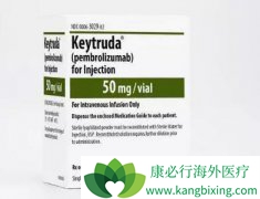 PD-1����ҩ����ķ�����뻯�ƽ�����Ʒ�Сϸ���ΰ�Ч����Σ�