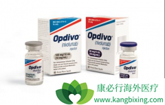 PD-1���Ƽ�ŷ���֣�Opdivo�������������ƶ��ְ�֢��