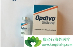 �ո����е�PD-1���Ƽ�Opdivo��ŷ���֣����ŵ�����Щ��