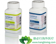 ����������ҩPARP���Ƽ�����������Olaparib�����й�����