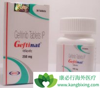 ӡ�ȼ���������Ϊ����ҩΪ�α�ԭ��ҩ���ܹ��˻�ӭ��