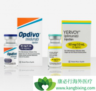 PD-1���Ƽ�Opdivo��Yervoy��Ŀǰ���ȵ������Ʒ�