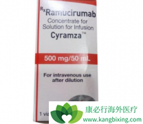 ������Щ���ʱ����Ӧ����ͣ����Ī«����(Cyramza)