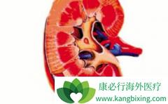 ��������(Votrient)�������������İ�ȫ�Ը���