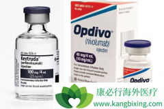 PD-1���Ƽ��ܷ��а�������������������֯������