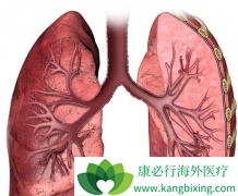 ���ٰ������ÿ����������Ƽ��������ʿ��Դﵽ���٣�