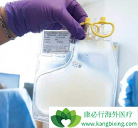 ����CAR-Tϸ�����Ʒ�����۸���߽���Ӣ������