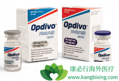 ���ڲ����г��ĺ�ɫ���������䵥������Ч������