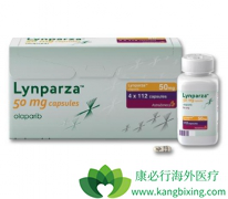 PARP���Ƽ���ҩ��ԭ������Щ����ν��PARP���Ƽ���ҩ��