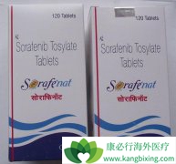 ӡ�ȶ༪��������һ�������ҩ��ú���֣�