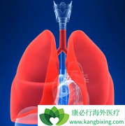 PD-L1����Tecentriq�����ڷ�Сϸ���ΰ�������