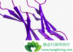 PD-L1����Tecentriq����Щ��֢��������Ӧ��