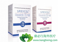 ��ɳ���ᣨSprycel�������ܰ�ϸ����Ѫ�������Ӧ֢����