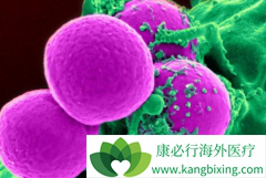 ��ɳ����/��ɳ�����µ���ϵͳ������Ҫ���ļ��ֱ�����ʽ