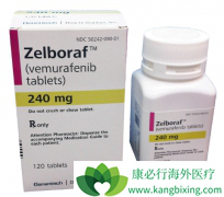 BRAFͻ�仼�߿���ʹ��ά�޷����뿹EGFR�������������濵���Ʒ���