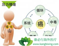 ���ڰ�֢�����ƴ��Ӧ���߳�������