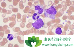 ��Ѫ�������ڼ����Ż��֢״ʱ��ʳ����ô����