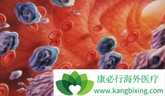 ��Ѫ������ҩ����������(Nilotinib)����������������ɭ֢