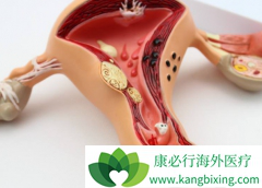 ��������/����˹�����������еĲ�����Ӧ����λ���