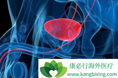 �����ε��ܼ��Ῠ������(Cabazitaxel)���µĸ�к��