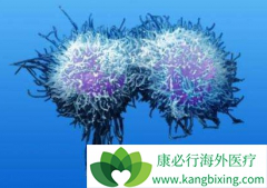 �����Ȱ�(Pomalidomide)���ϻ��������ɸ��ƶ෢�Թ��������ߵ�PFS