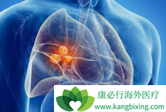 ̩��ɳ(Tagrisso)�������ܹ����Կ��Ʋ���