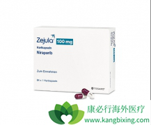 PARP���Ƽ���PARPi���ĸ����û���ҩ������