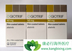 �ΰ�����ҩ�ﰢ������(AFATINIB)���û����кβ�ͬ��