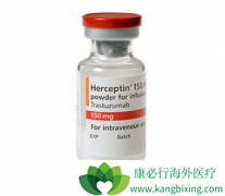 ����͡�������鵥������HER2������ɢ�����ٰ��Ļƽ����Ʒ���