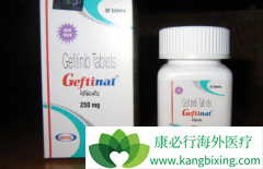 ӡ������ɳ(GEFINAT)�ɽ���ѪҺ���Ժ��񾭶��Եķ�����